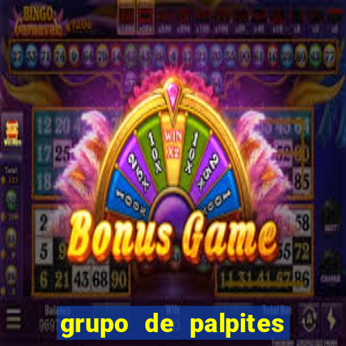 grupo de palpites de futebol telegram